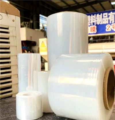 Cén fáth a bhfuil Scannán Timfhilleadh Sín Corpoideachais Ilchineálach ag Ath...